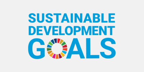 Sustainable Development Goals Sustainable Development Goals